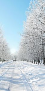 Invierno,Paisaje,Carreteras