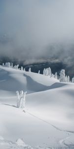 Invierno,Nieve,Paisaje