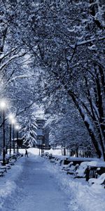 Landscape,Winter,Snow