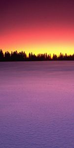 Landscape,Winter,Snow