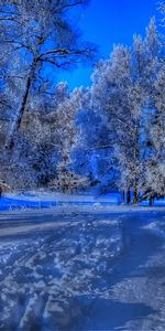 Hiver,Neige,Paysage