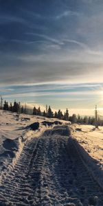 Landscape,Winter,Snow