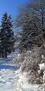 Neige,Hiver,Paysage