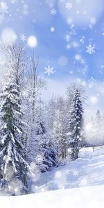 Landscape,Winter,Snow,Background