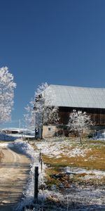 Paisaje,Invierno,Árboles