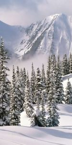 Landscape,Winter,Trees,Mountains,Fir Trees