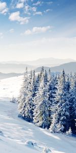 Invierno,Árboles,Nieve,Montañas,Paisaje