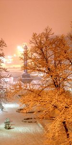 Paysage,Arbres,Hiver,Nuit,Neige