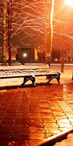 Landscape,Winter,Trees,Night,Snow,Streets