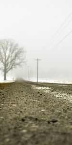 Routes,Arbres,Hiver,Paysage