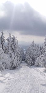 Paysage,Routes,Arbres,Neige,Hiver