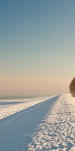 Landscape,Winter,Trees,Roads,Snow