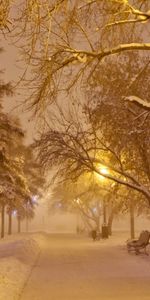 Landscape,Winter,Trees,Roads,Snow