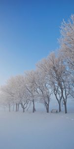 Landscape,Winter,Trees,Snow