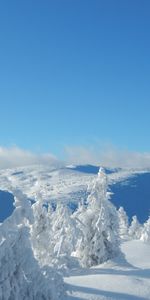 Arbres,Neige,Paysage,Hiver