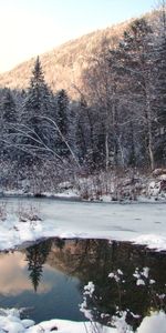 Landscape,Winter,Trees,Snow,Fir Trees,Lakes