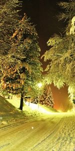 Paisaje,Invierno,Árboles,Noche,Nieve