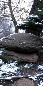 Invierno,Árboles,Stones,Paisaje