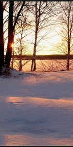 Arbres,Coucher De Soleil,Paysage,Hiver