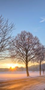 Arbres,Routes,Paysage,Hiver,Coucher De Soleil,Neige