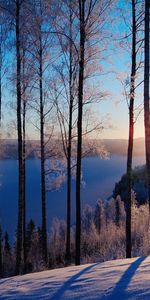 Landscape,Winter,Trees,Sunset,Snow