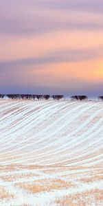 Landscape,Winter,Trees,Sunset,Snow,Fields