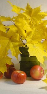 Leaves,Apples,Bouquets,Plants,Food,Still Life