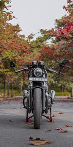 Leaves,Asphalt,Front View,Motorcycle,Motorcycles,Bike