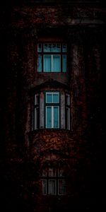 Hojas,Edificio,Oscuro,Fachada,Ventanas