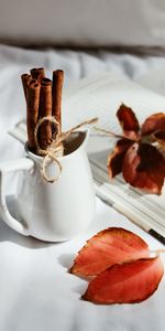 Leaves,Cinnamon,Miscellanea,Miscellaneous,Tablewares,Spices