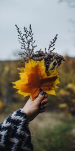 Leaves,Hand,Miscellanea,Miscellaneous,Branches,Bouquet,Autumn