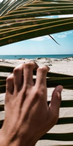 Leaves,Hand,Miscellanea,Miscellaneous,Sea,Sand,Beach