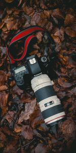 Leaves,Lens,Camera,Technologies,Technology