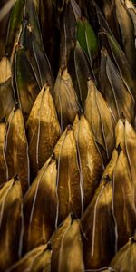 Leaves,Macro,Plant,Surface,Volume