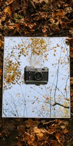 Leaves,Miscellanea,Miscellaneous,Camera,Autumn,Retro,Vintage