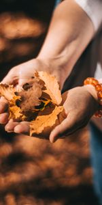 Leaves,Miscellanea,Miscellaneous,Hands,Dry,Autumn