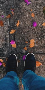 Leaves,Miscellanea,Miscellaneous,Legs,Fallen,Autumn