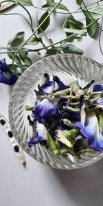 Leaves,Miscellanea,Miscellaneous,Petals,Plate,Buds,Dried Flowers,Dryflower