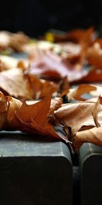 Objets,Feuilles