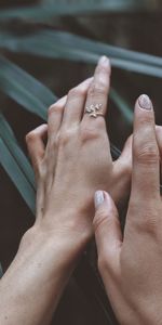 Leaves,Plant,Miscellanea,Miscellaneous,Hands,Fingers