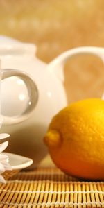 Lemons,Objects,Camomile