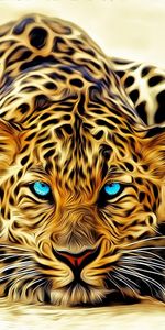 Leopards,Pictures,Animals