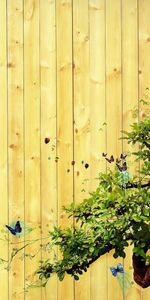 Light,Tree,Texture,Textures,Light Coloured,Wood,Wooden,Brown