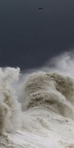 Tormenta,Cielo,Birds,Ondas,Faro,Naturaleza