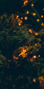 Lights,Glare,Branches,Christmas Tree,Garland,Holidays