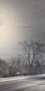 Lights,Lanterns,Fence,Mainly Cloudy,Overcast,Cities,Night,Street