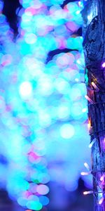 Lights,Miscellanea,Miscellaneous,Wood,Tree,Blur,Smooth,Garland,Bokeh,Boquet