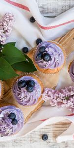 Lilac,Bilberries,Cream,Cupcakes,Food