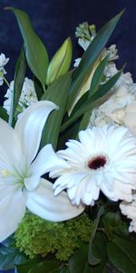 Lilies,Gerberas,Bouquet,Snow White,Flowers,Hydrangea