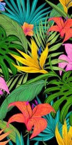 Lilies,Tropical,Coloured,Color,Palms,Flowers,Texture,Leaves,Textures,Pattern